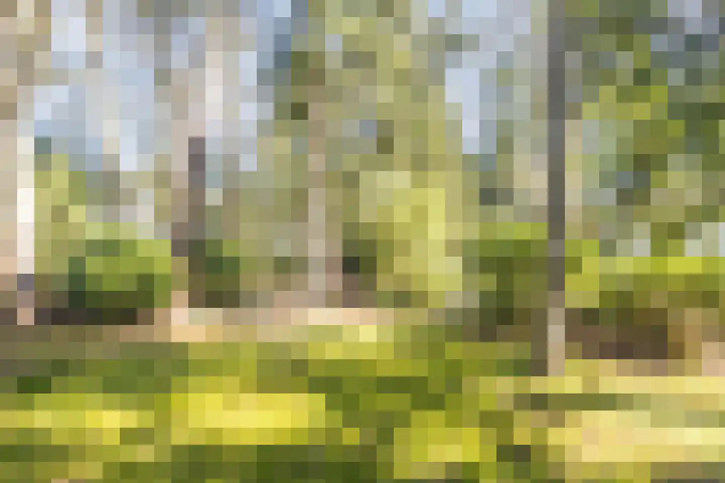 Dennenlaan 12 Hoogerheide thumbnail 88