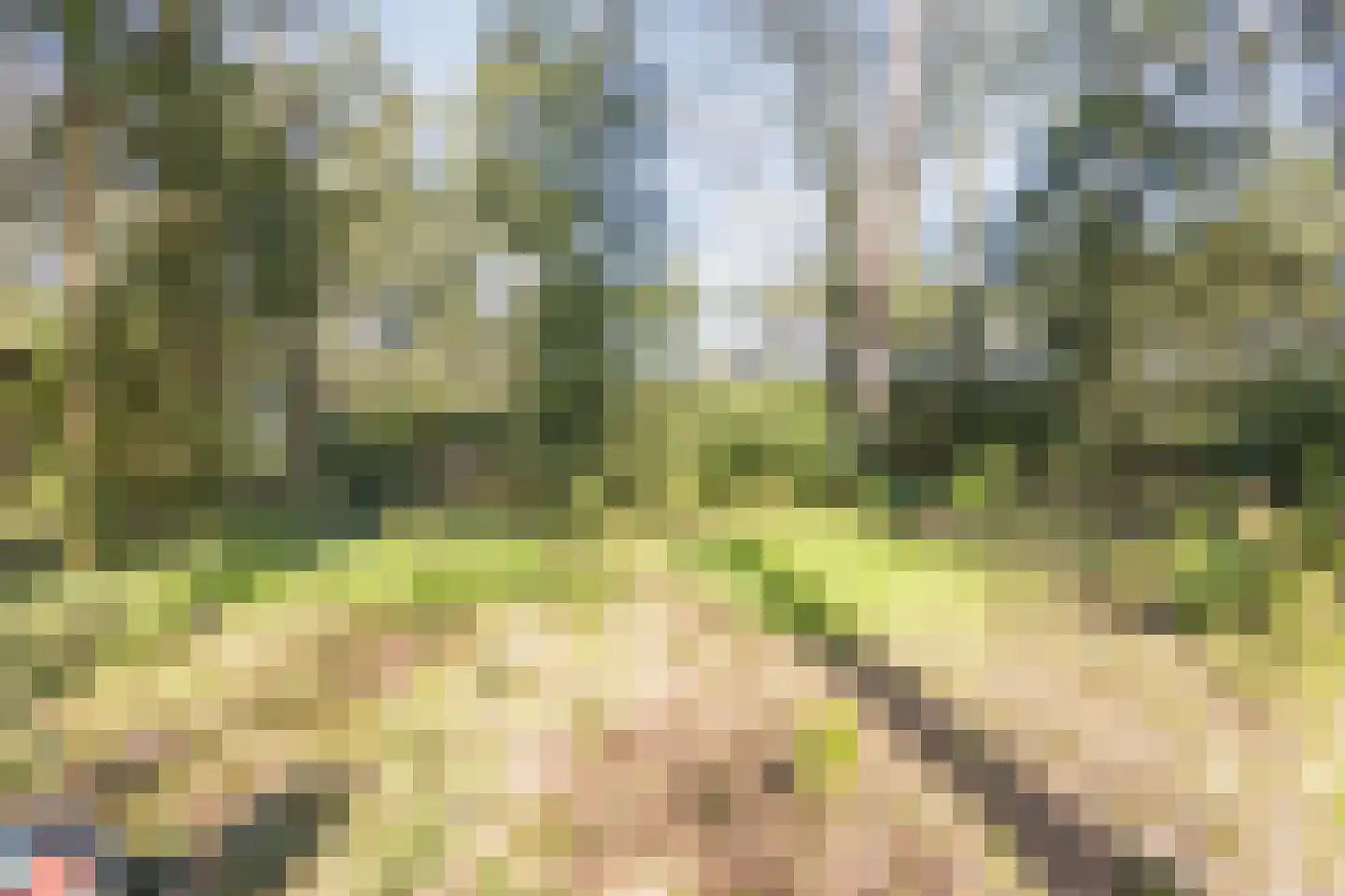 Dennenlaan 12 Hoogerheide thumbnail 89