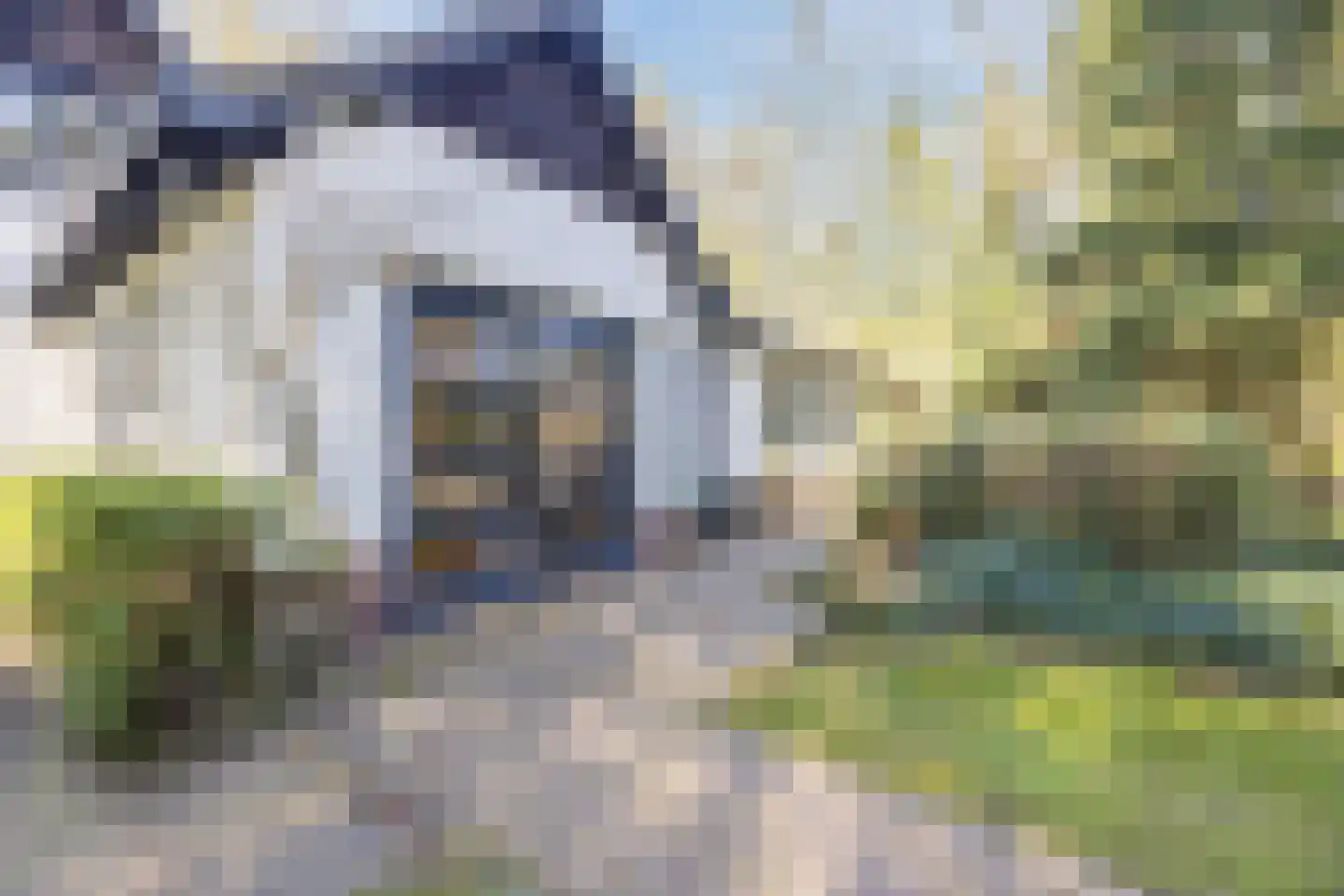 Dennenlaan 12 Hoogerheide thumbnail 91