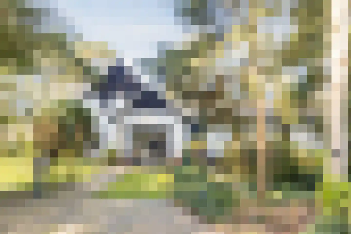 Dennenlaan 12 Hoogerheide thumbnail 93