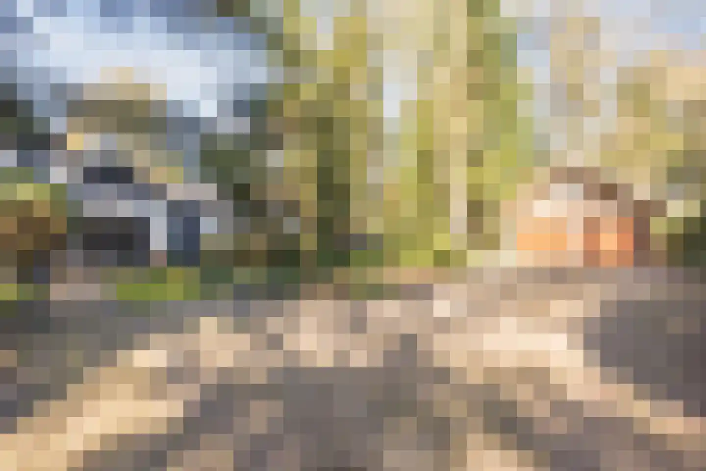 Dennenlaan 12 Hoogerheide thumbnail 94