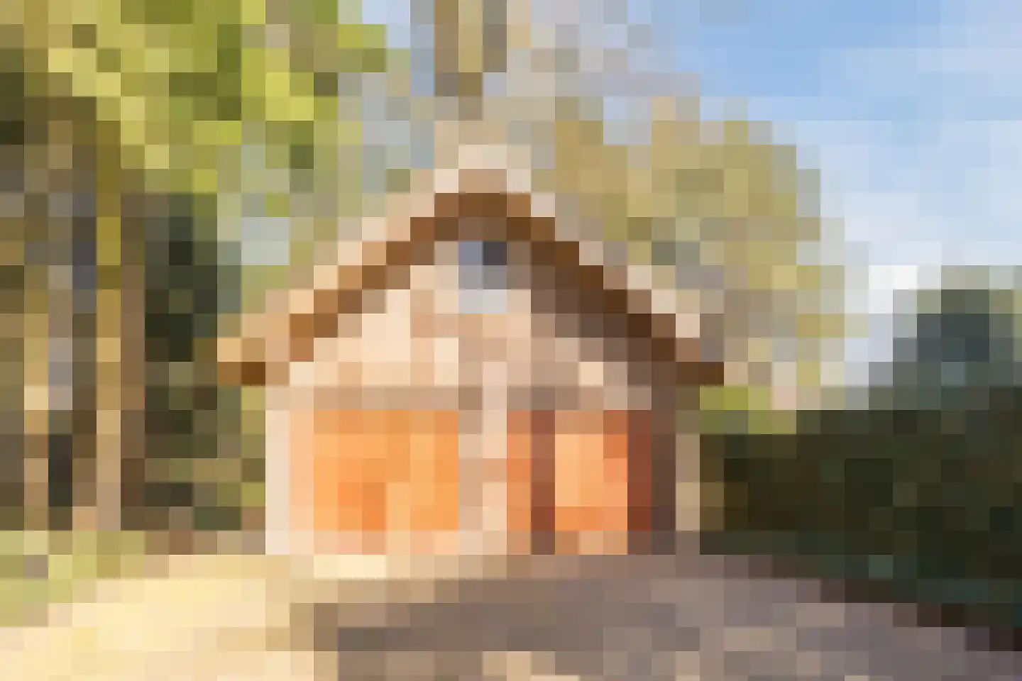Dennenlaan 12 Hoogerheide thumbnail 95