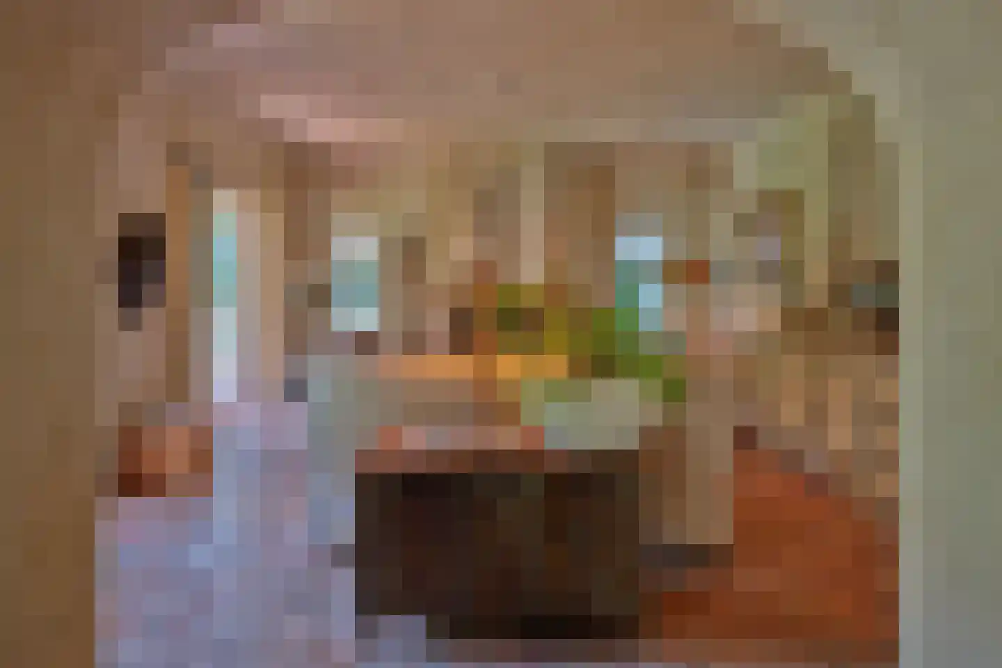Dennenlaan 12 Vught thumbnail 20