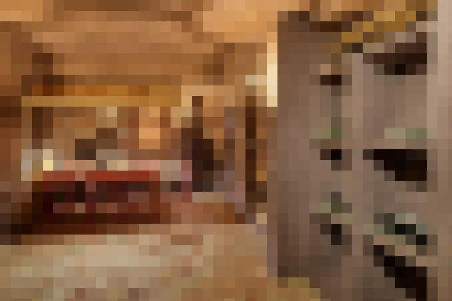 Dennenlaan 12 Vught thumbnail 21