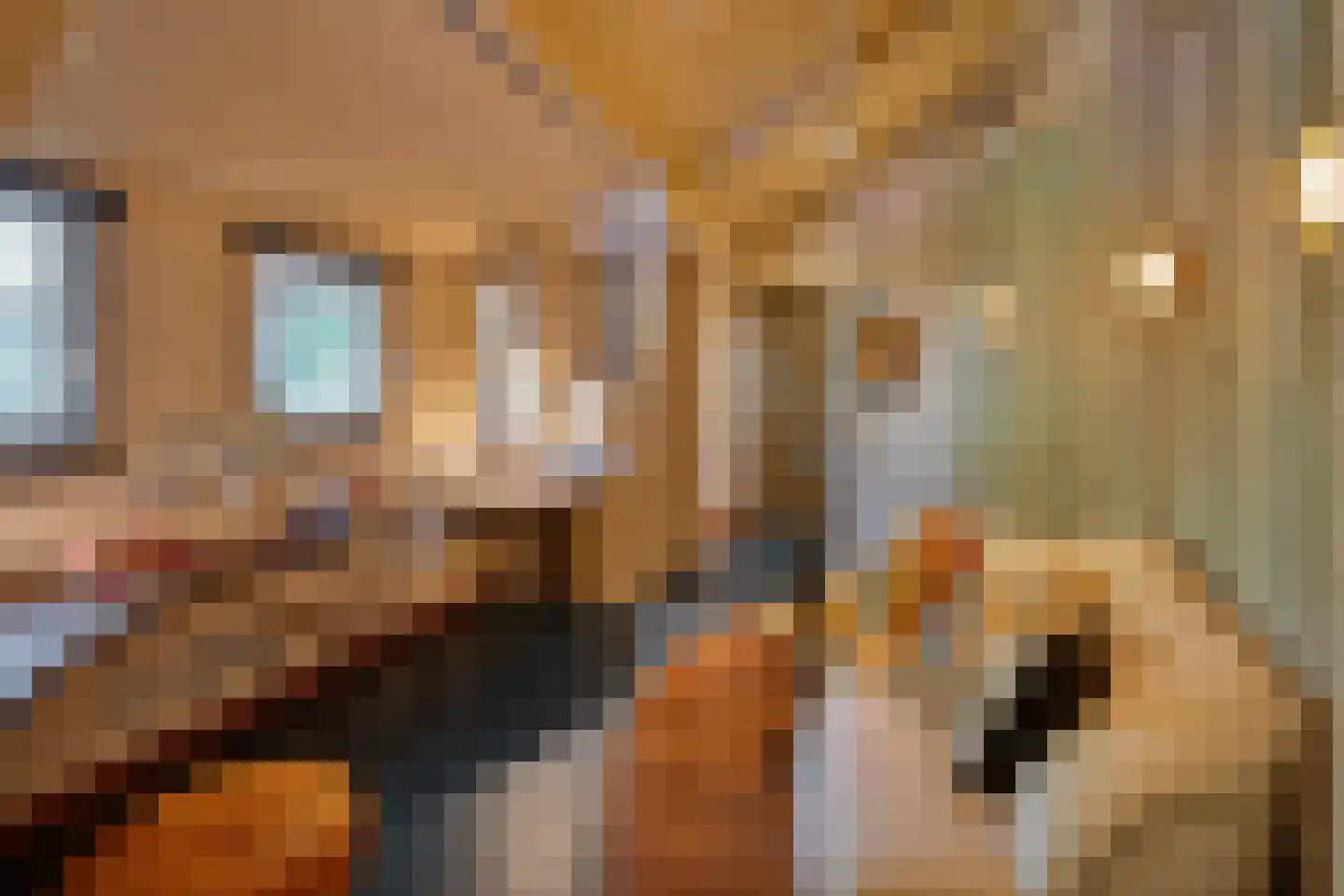 Dennenlaan 12 Vught thumbnail 29