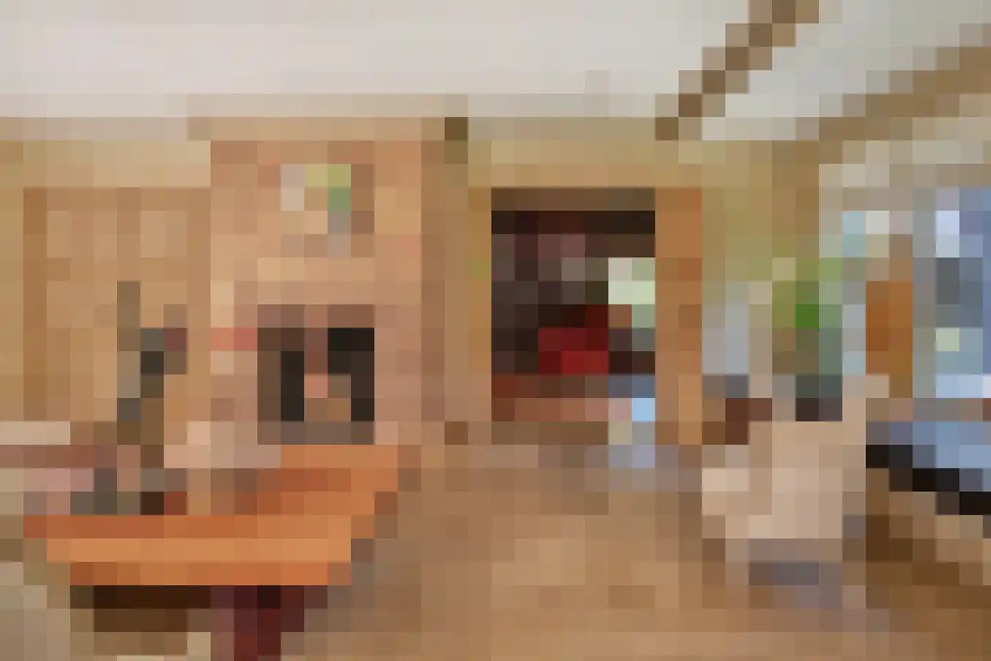 Dennenlaan 12 Vught thumbnail 4
