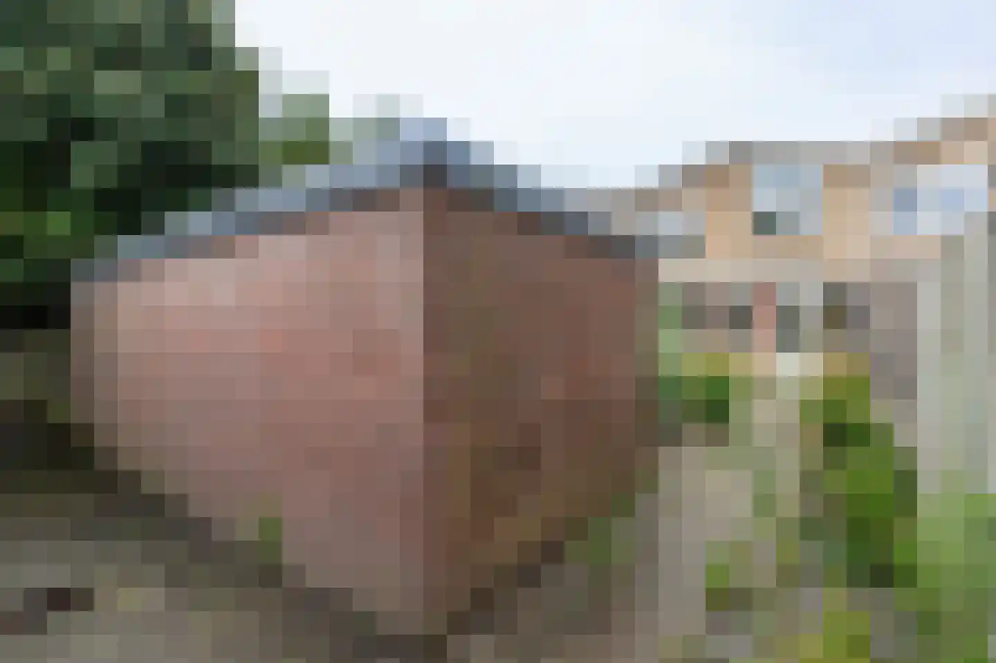 Dennenlaan 13 Leimuiden thumbnail 28