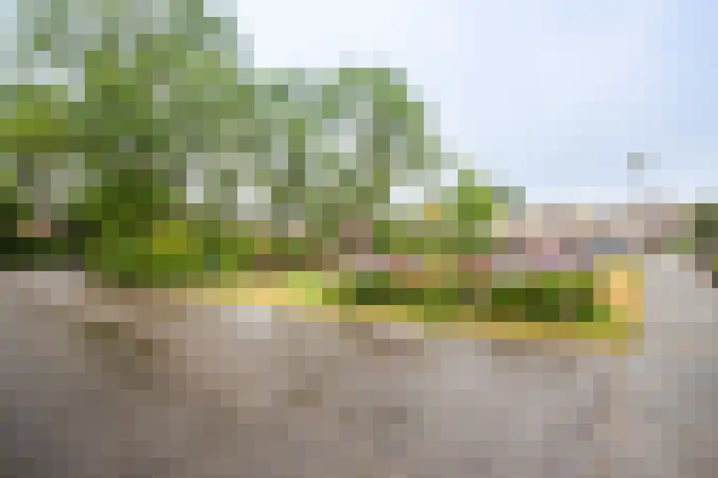 Dennenlaan 13 Leimuiden thumbnail 32