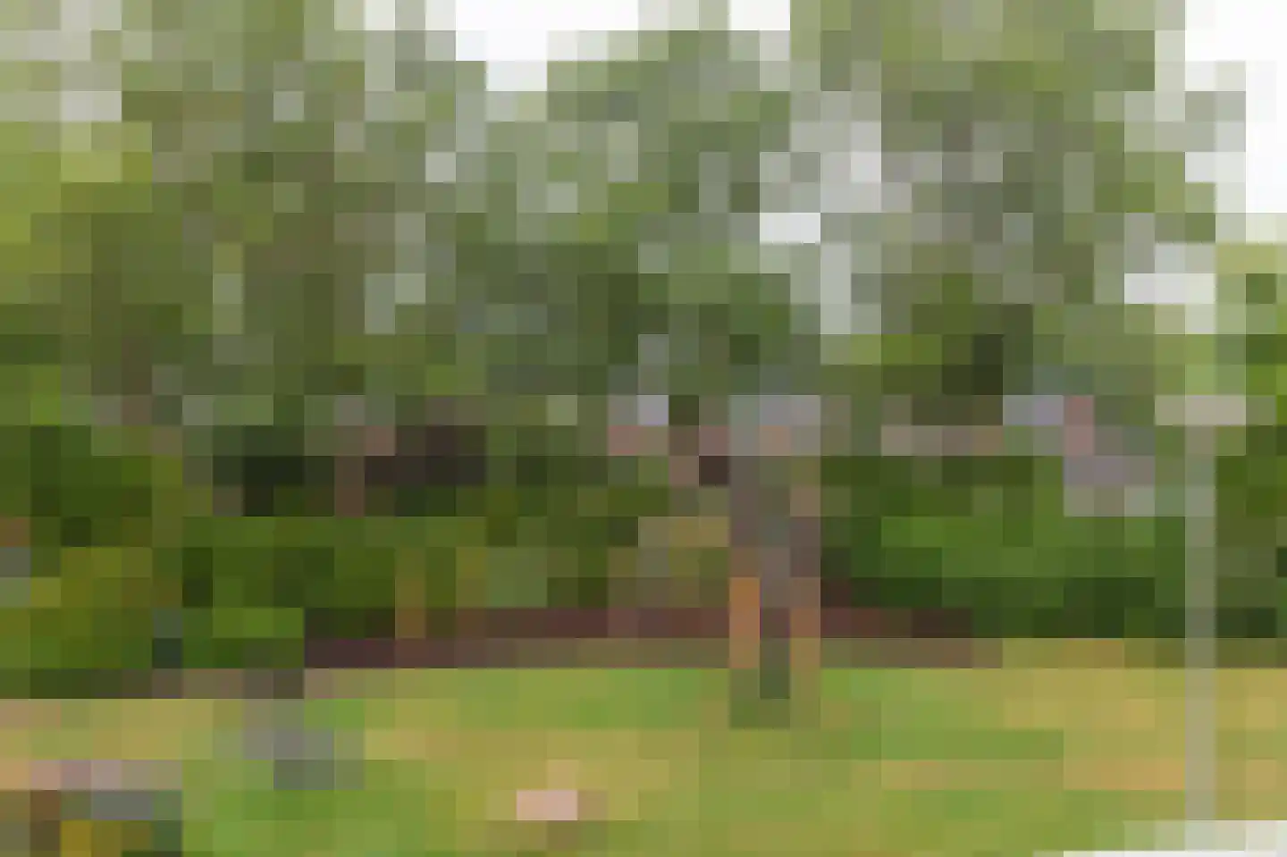 Dennenlaan 13 Leimuiden thumbnail 33