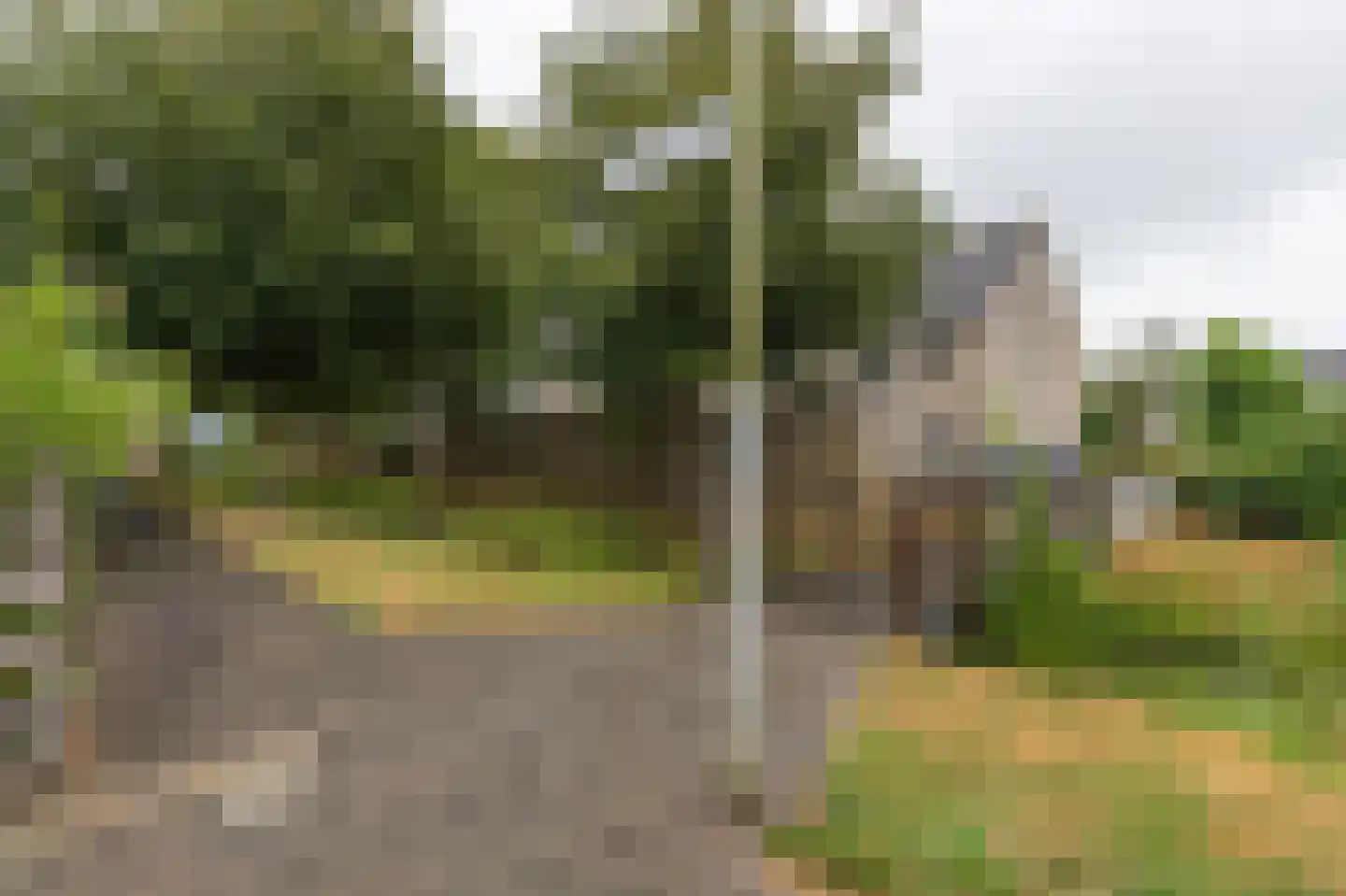 Dennenlaan 13 Leimuiden thumbnail 34