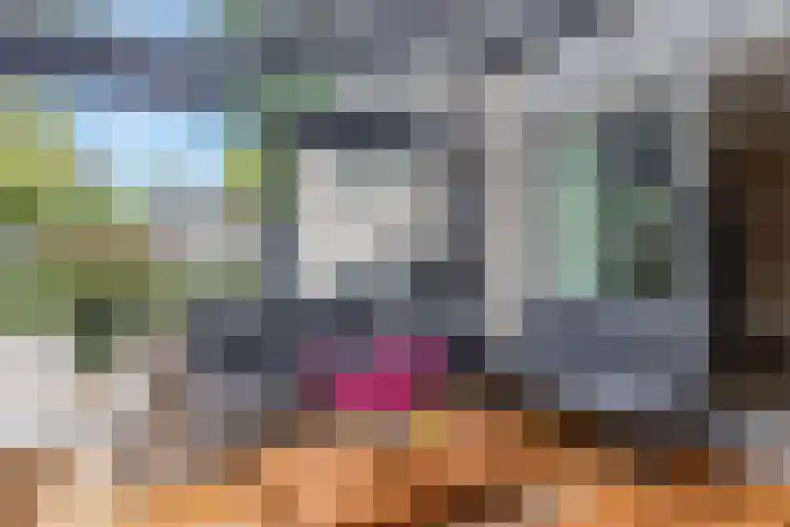 Dennenlaan 14 Ede thumbnail 12