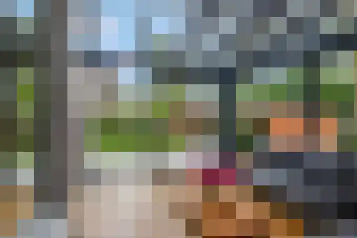 Dennenlaan 14 Ede thumbnail 14