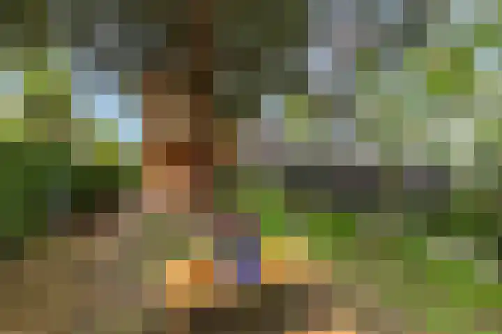 Dennenlaan 14 Ede thumbnail 60