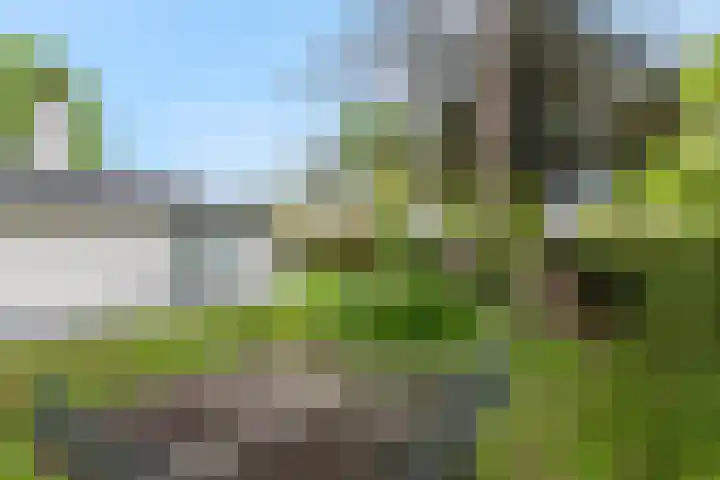 Dennenlaan 14 Ede thumbnail 61
