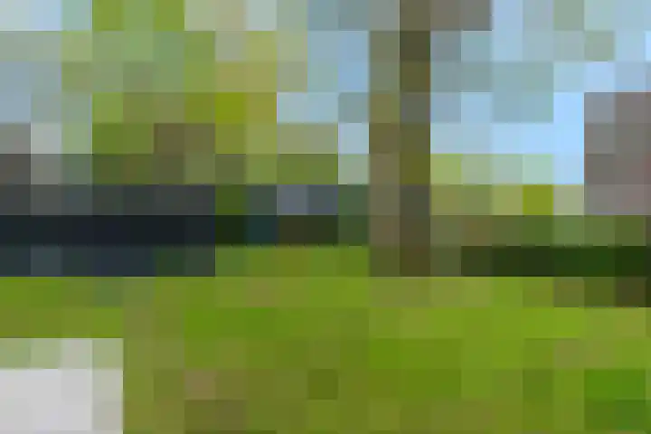 Dennenlaan 14 Ede thumbnail 62