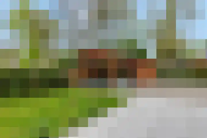 Dennenlaan 14 Ede thumbnail 64