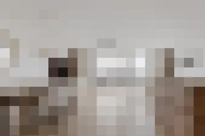 Dennenlaan 16 F Zwanenburg thumbnail 10