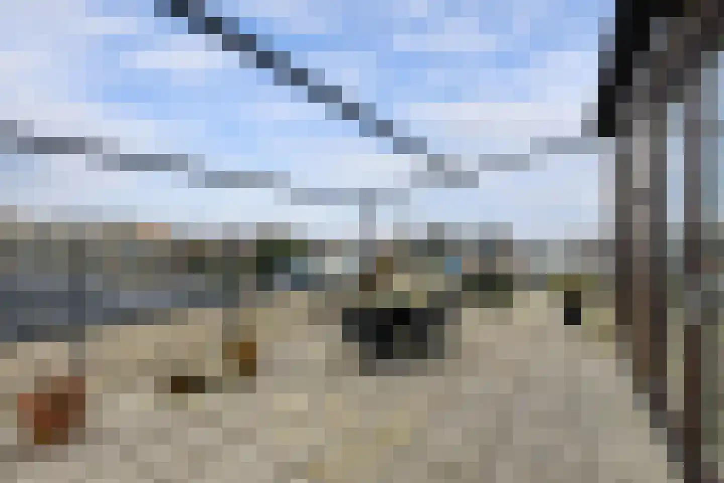 Dennenlaan 16 J Zwanenburg thumbnail 23