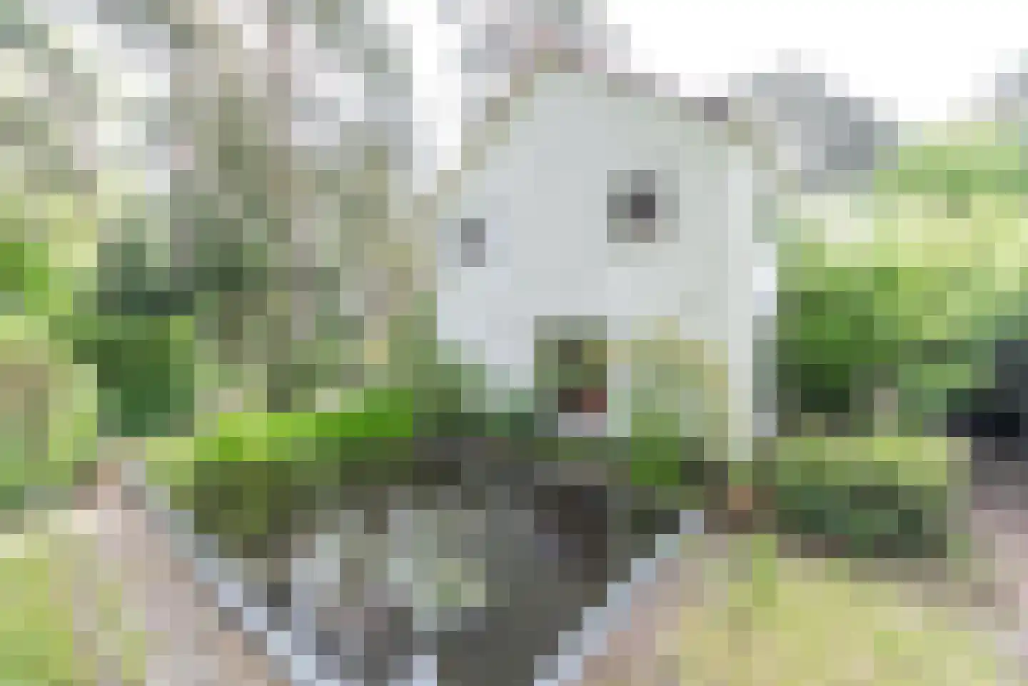 Dennenlaan 17 Apeldoorn thumbnail 10