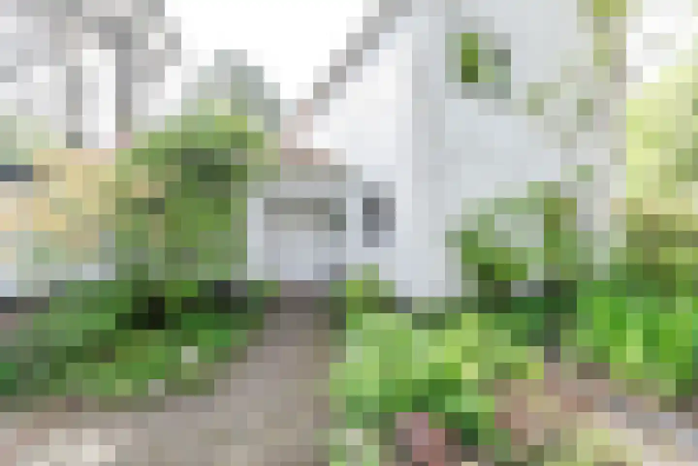 Dennenlaan 17 Apeldoorn thumbnail 11