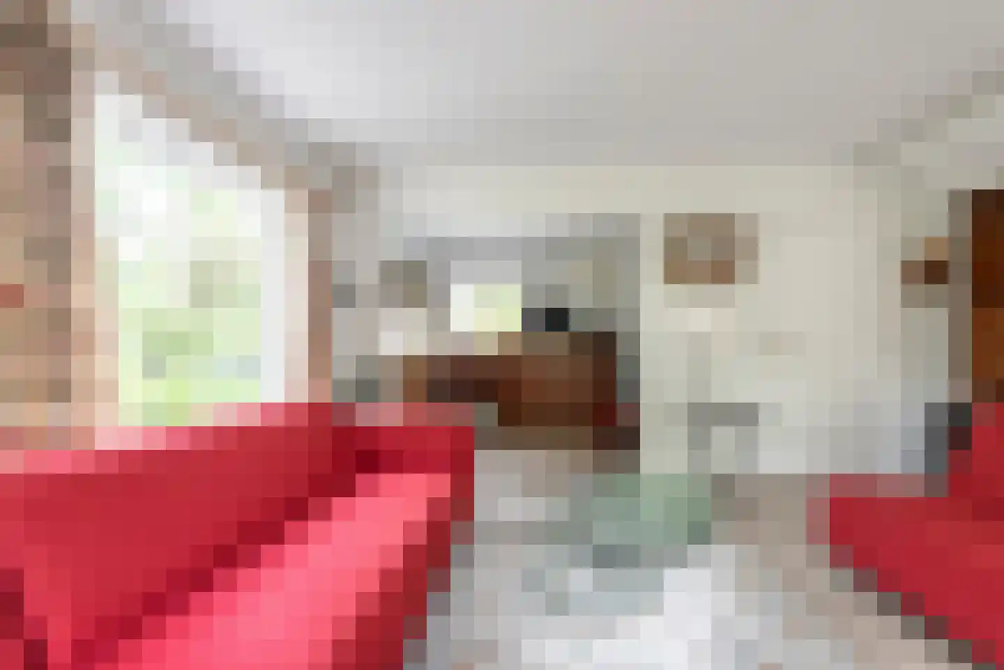 Dennenlaan 17 Apeldoorn thumbnail 17