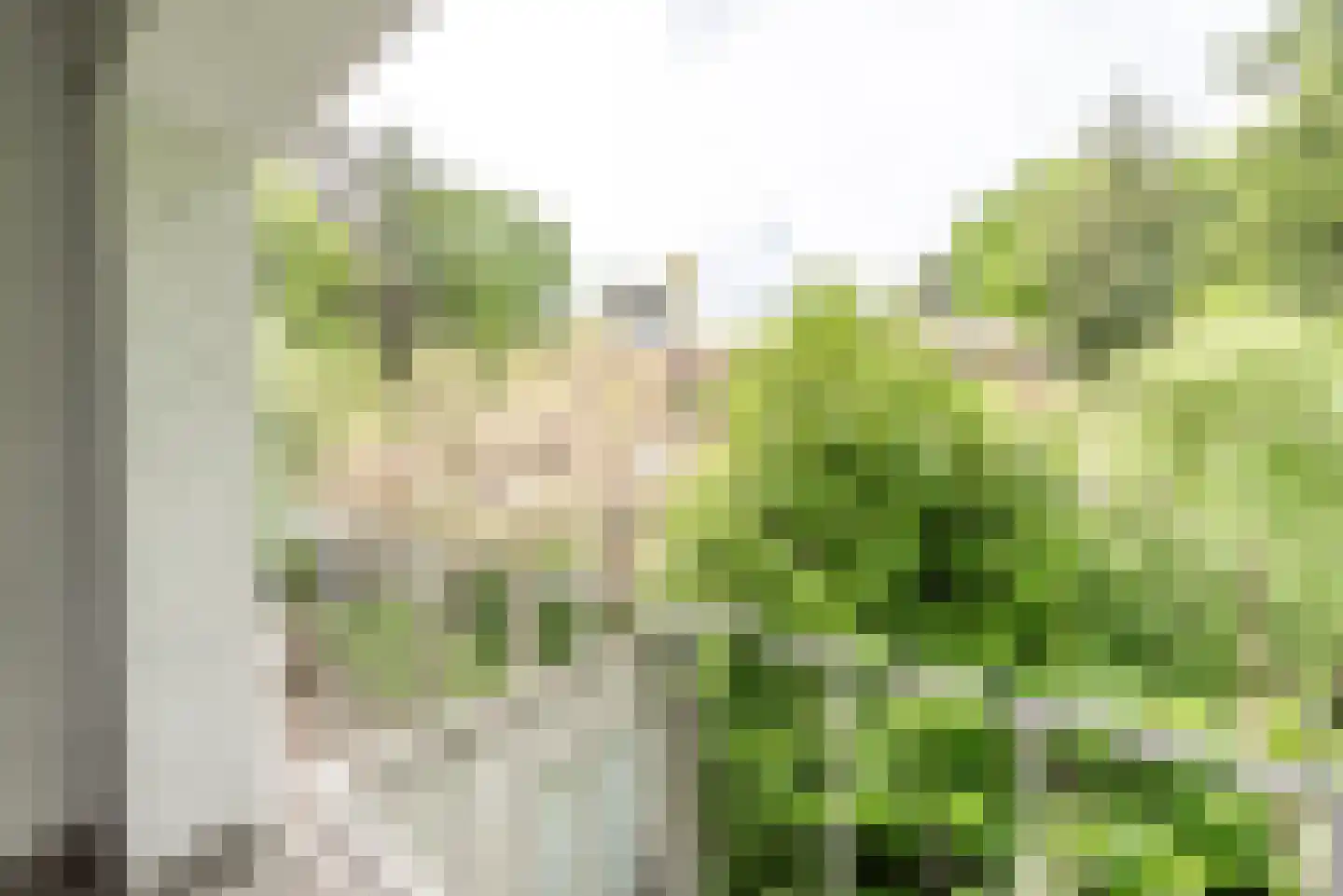 Dennenlaan 17 Apeldoorn thumbnail 31