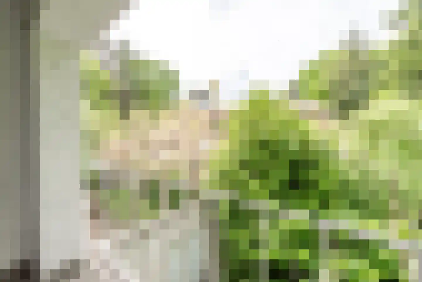 Dennenlaan 17 Apeldoorn thumbnail 31