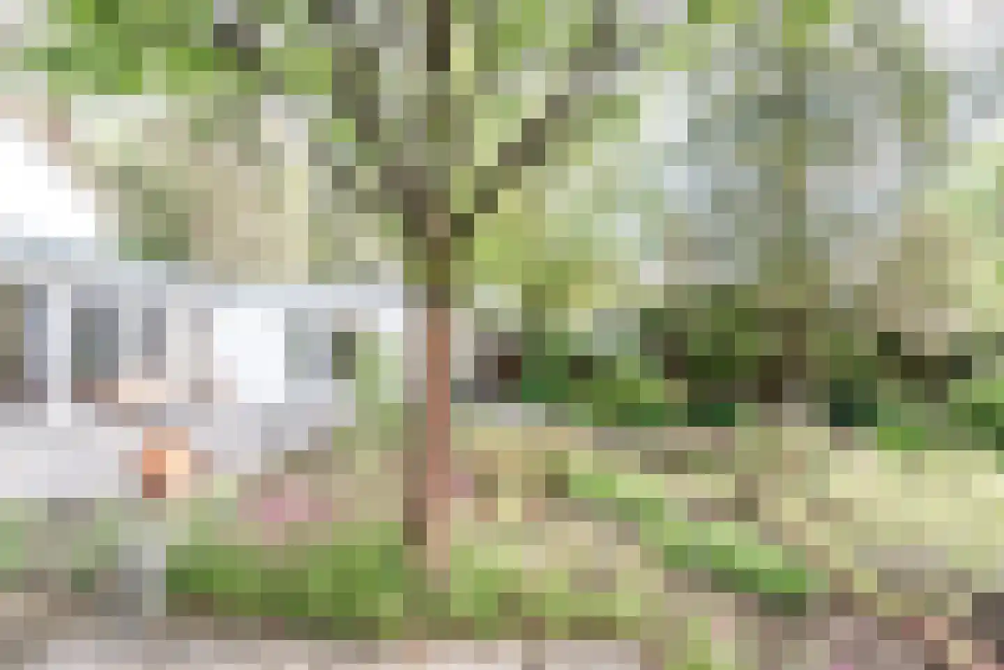 Dennenlaan 17 Apeldoorn thumbnail 37
