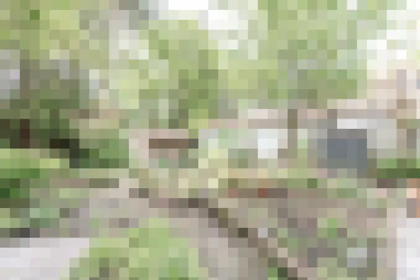 Dennenlaan 17 Apeldoorn thumbnail 38
