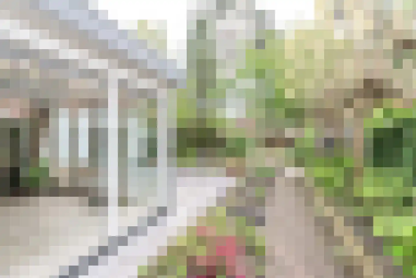 Dennenlaan 17 Apeldoorn thumbnail 38