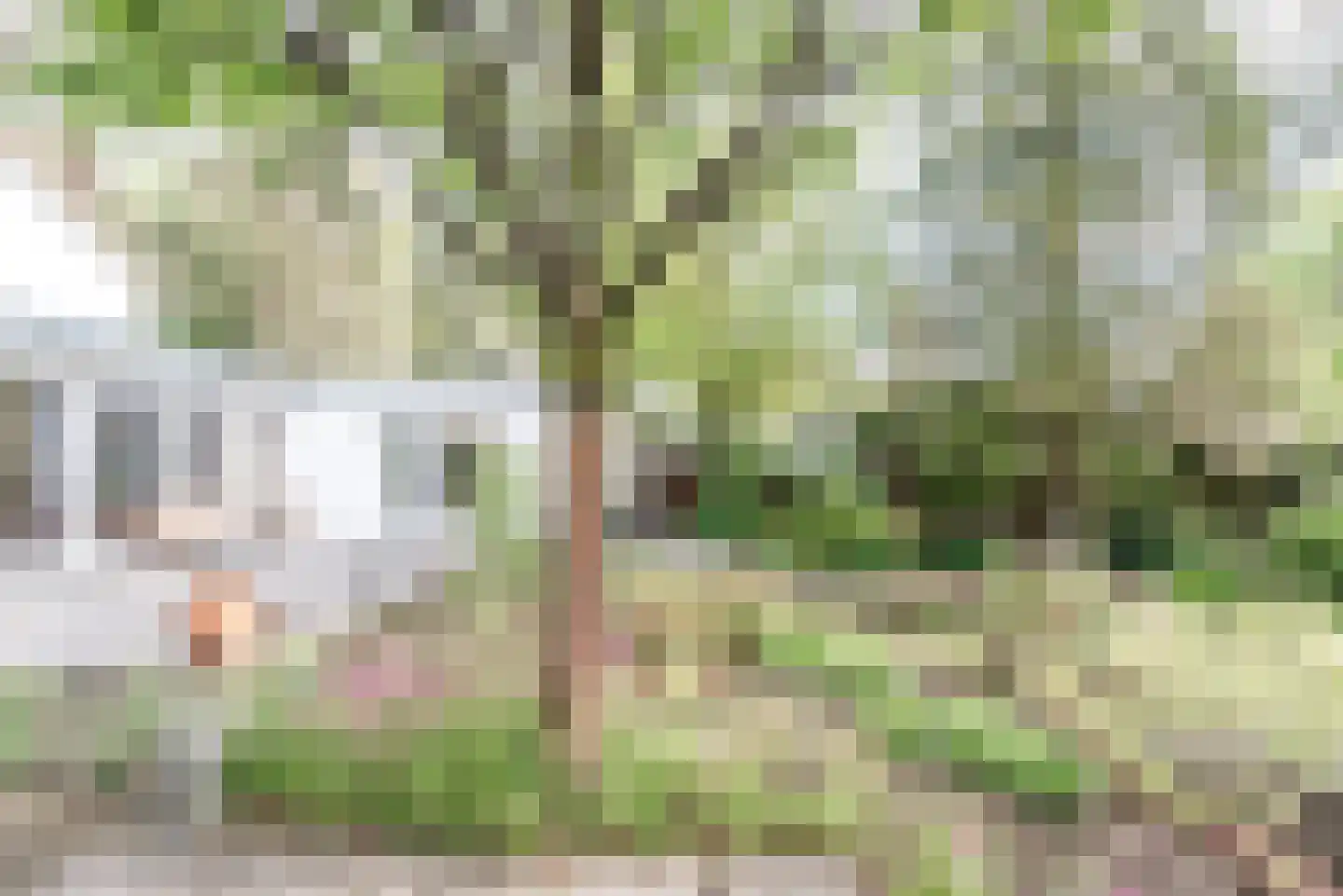 Dennenlaan 17 Apeldoorn thumbnail 39