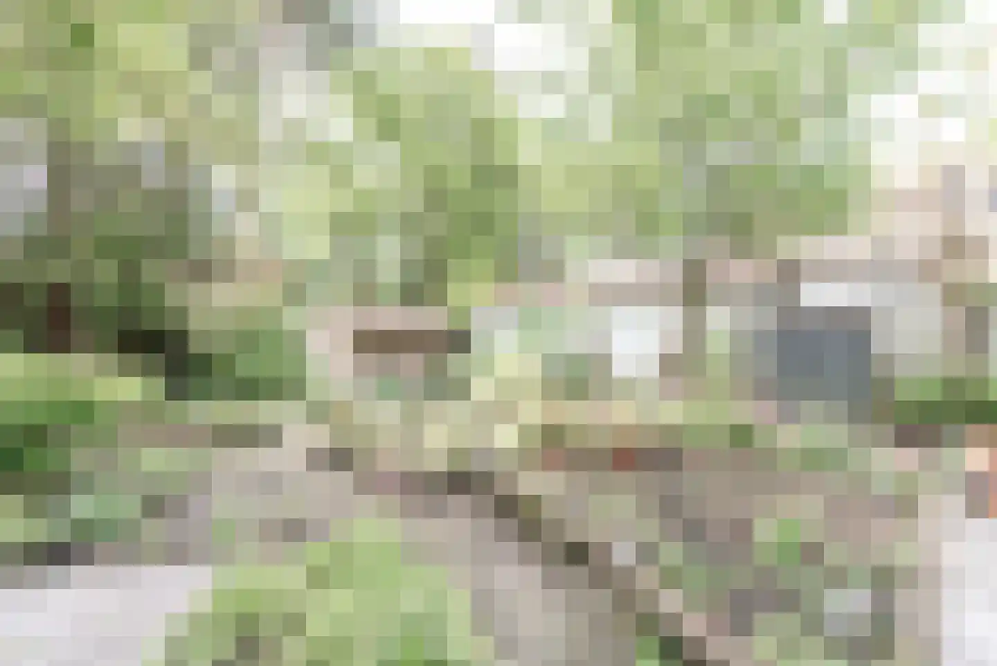 Dennenlaan 17 Apeldoorn thumbnail 40