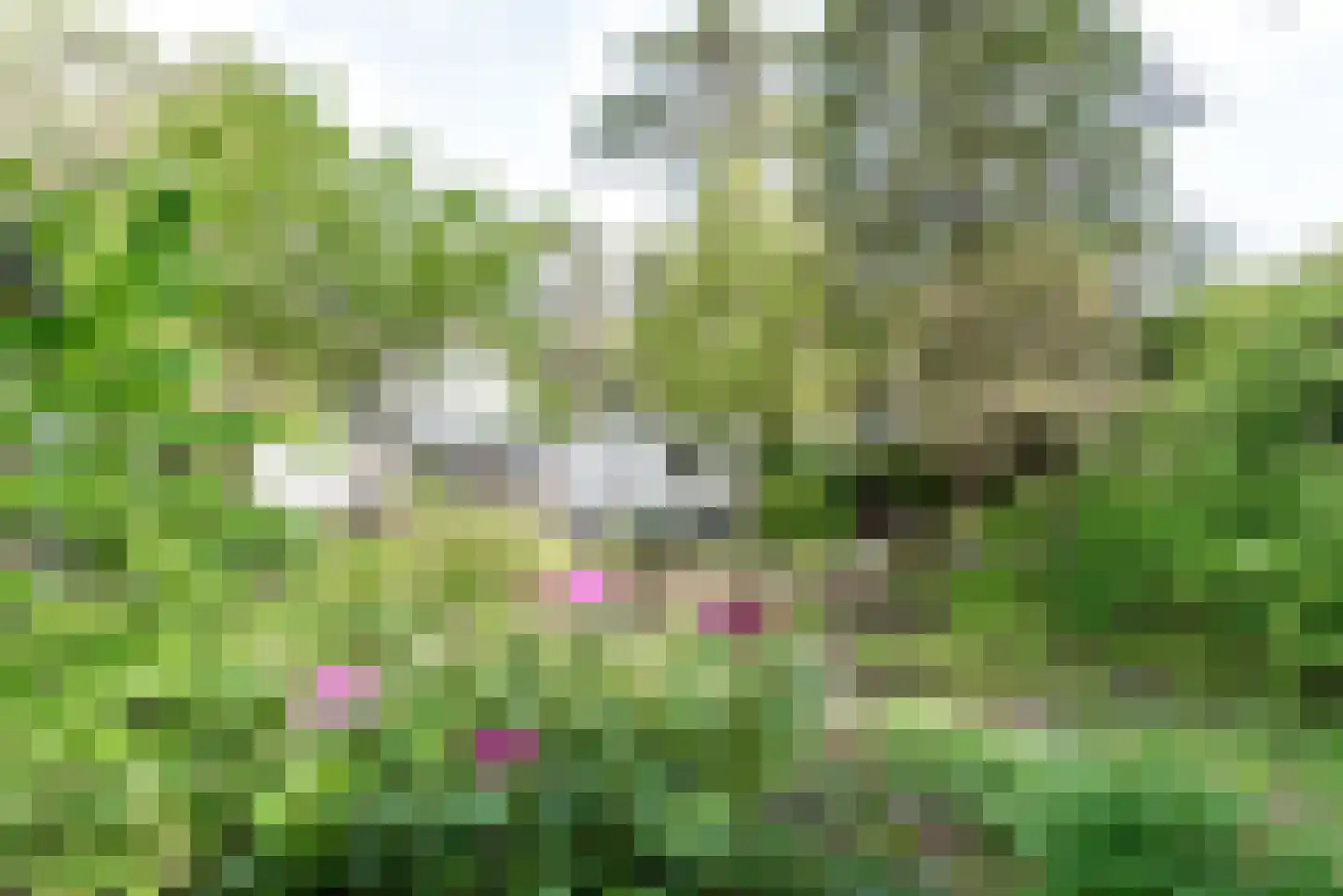 Dennenlaan 17 Apeldoorn thumbnail 41