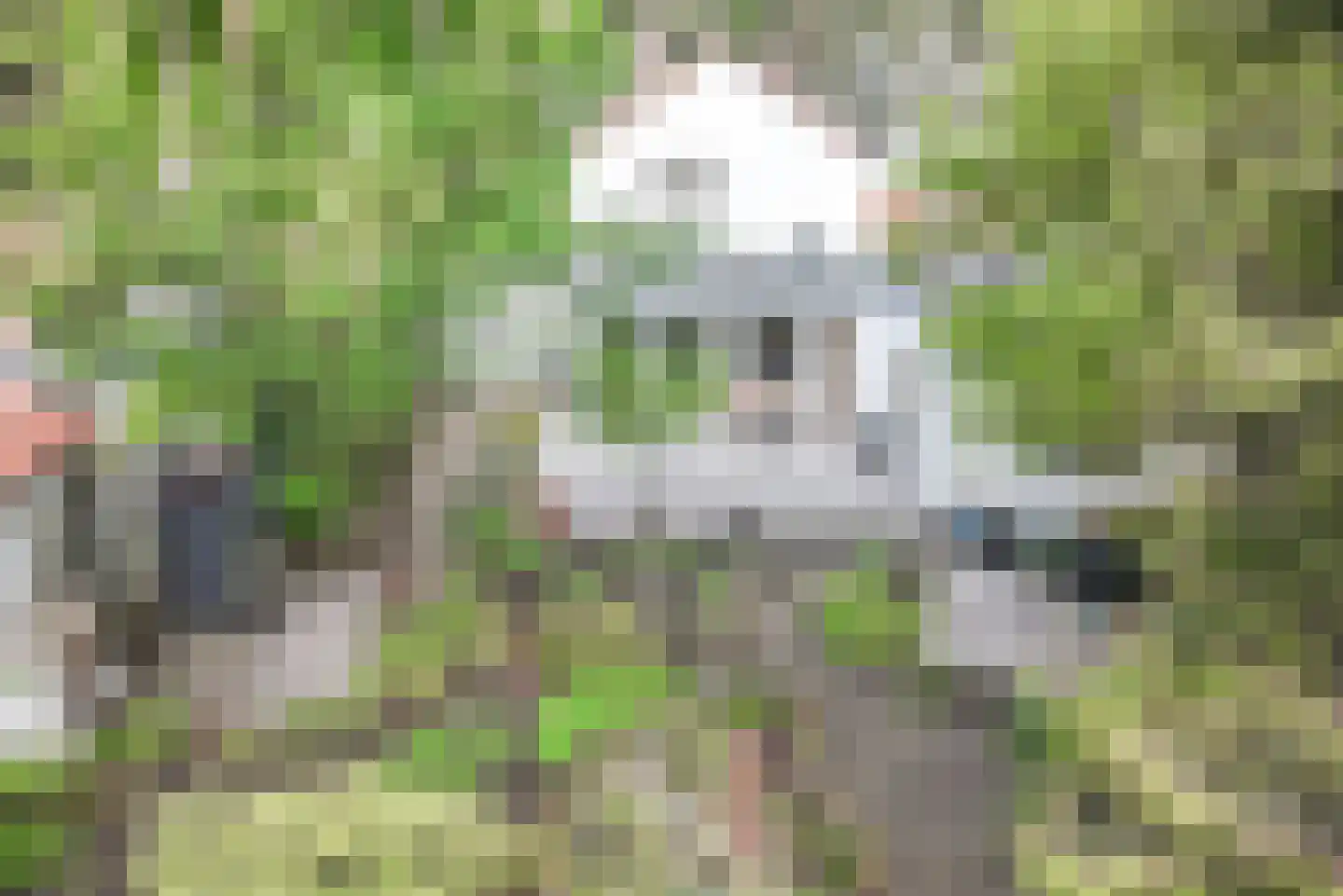 Dennenlaan 17 Apeldoorn thumbnail 5