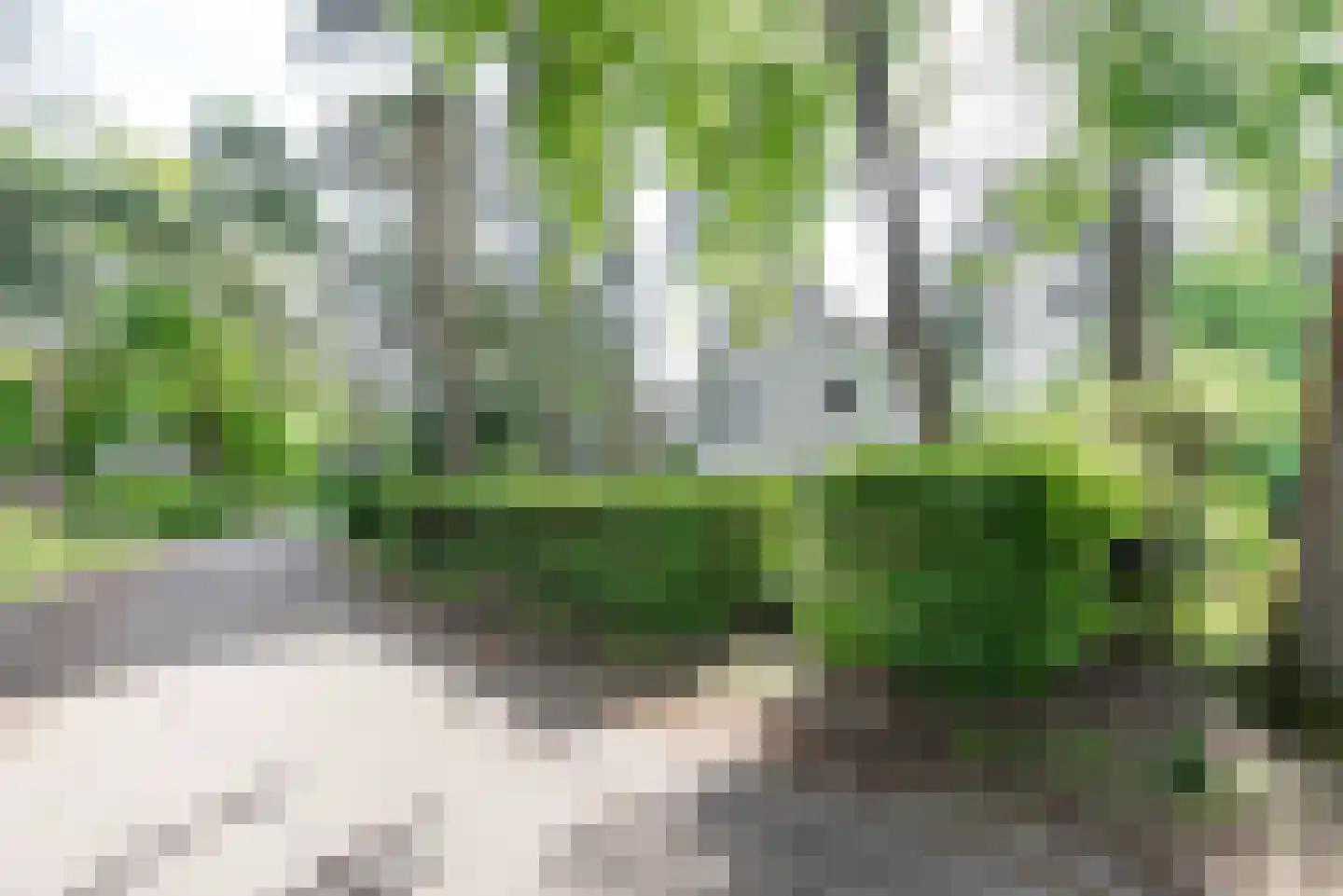 Dennenlaan 17 Apeldoorn thumbnail 8