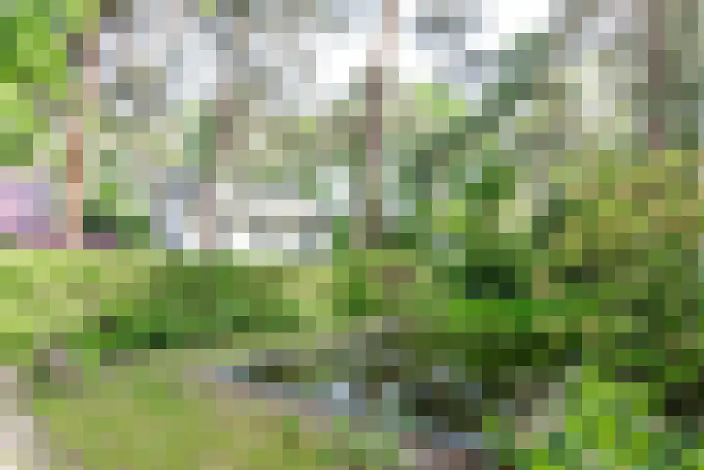 Dennenlaan 17 Apeldoorn thumbnail 9