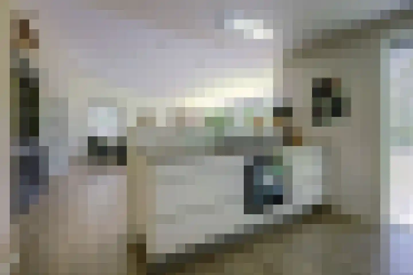 Dennenlaan 17 Kamperland thumbnail 14