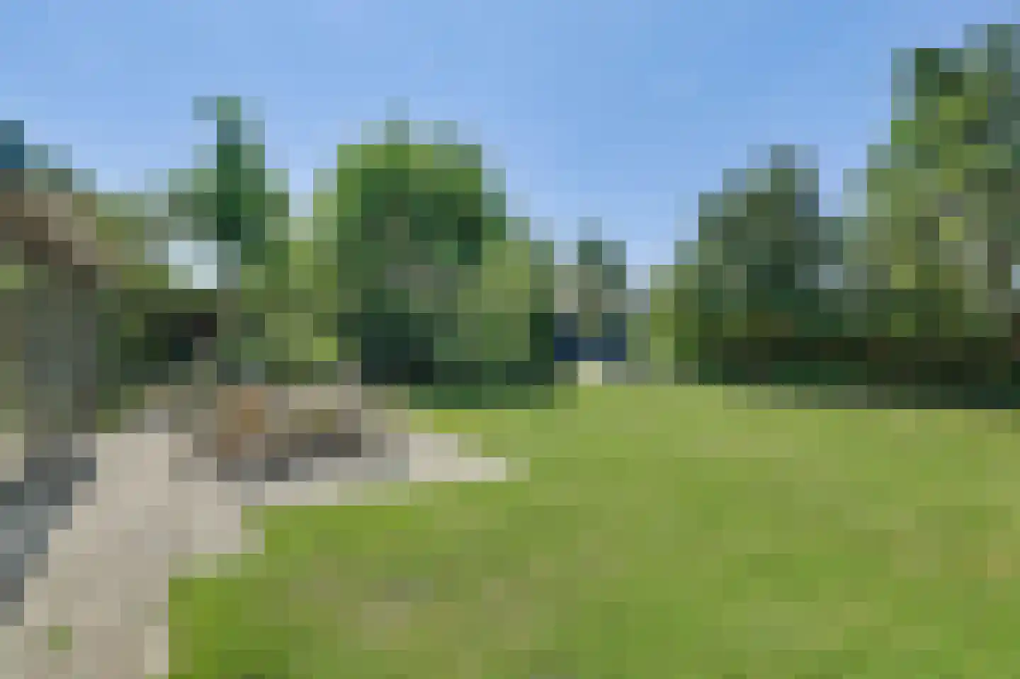 Dennenlaan 17 Kamperland thumbnail 30
