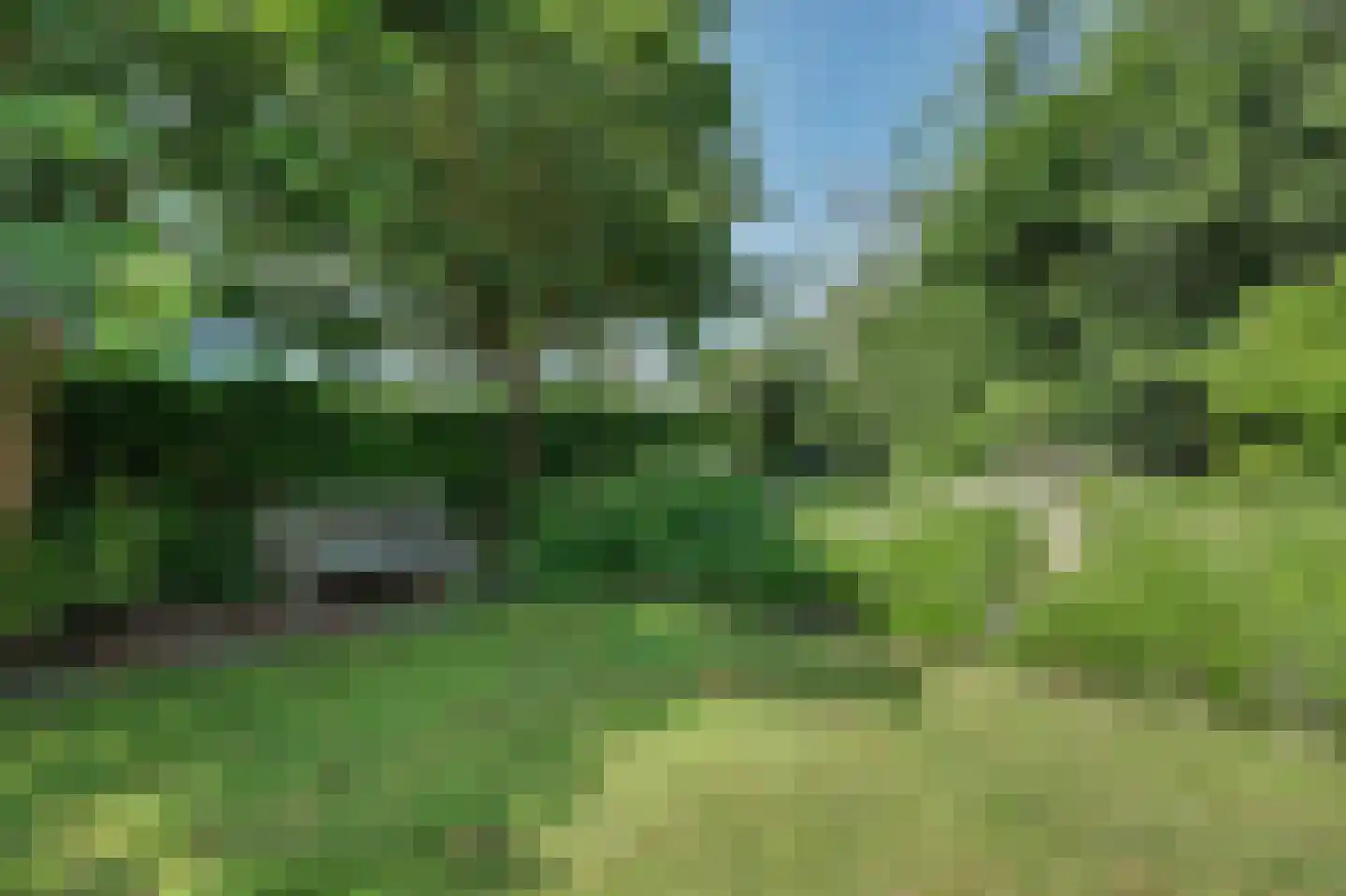 Dennenlaan 17 Kamperland thumbnail 31