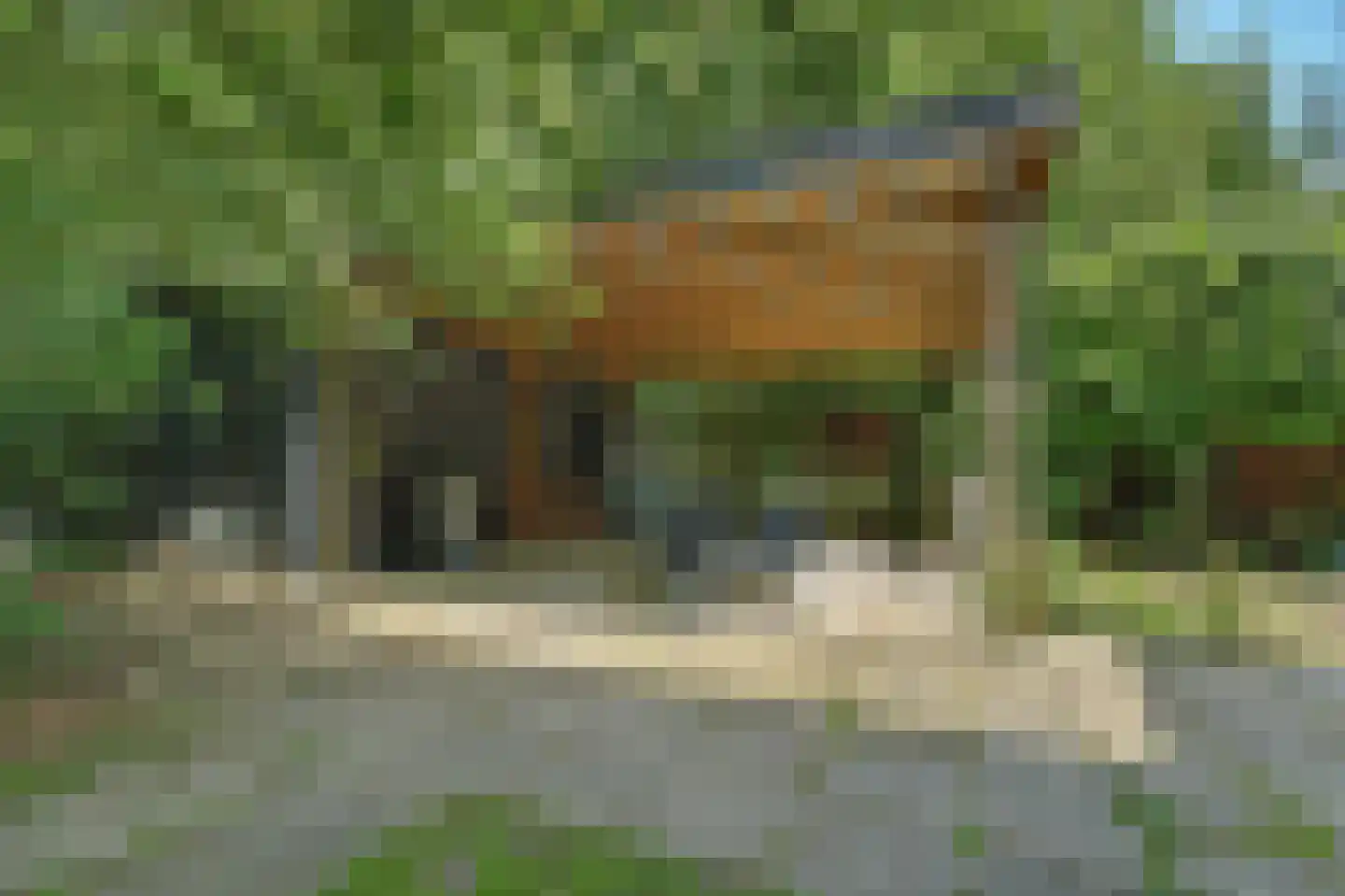 Dennenlaan 17 Kamperland thumbnail 32