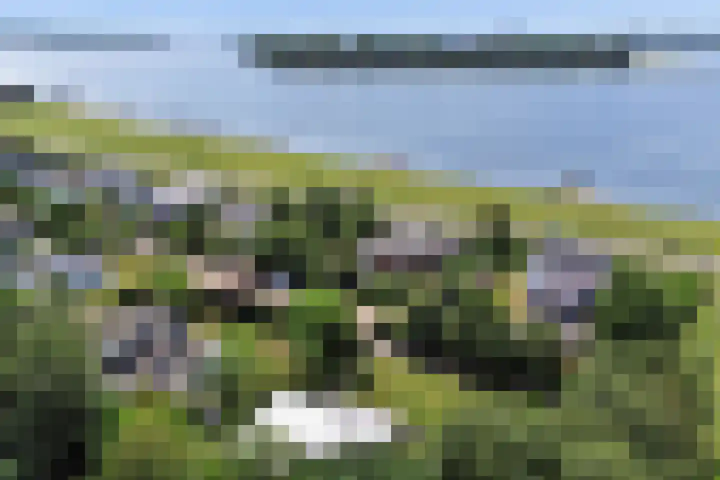 Dennenlaan 17 Kamperland thumbnail 36