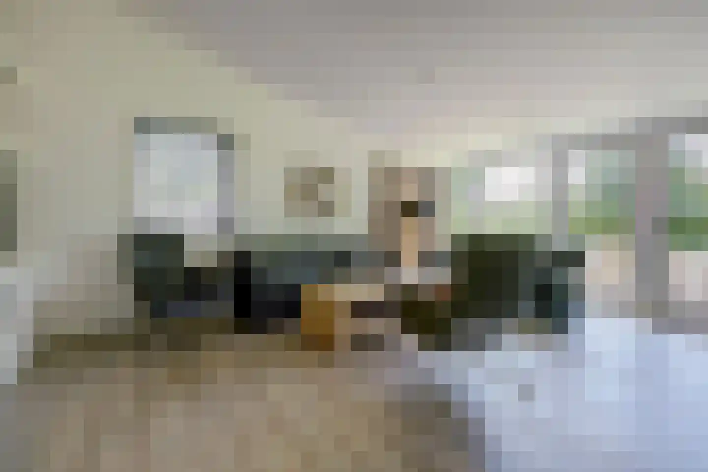 Dennenlaan 17 Kamperland thumbnail 8