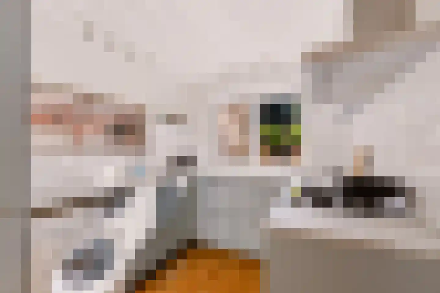Dennenlaan 17 Maarn thumbnail 11