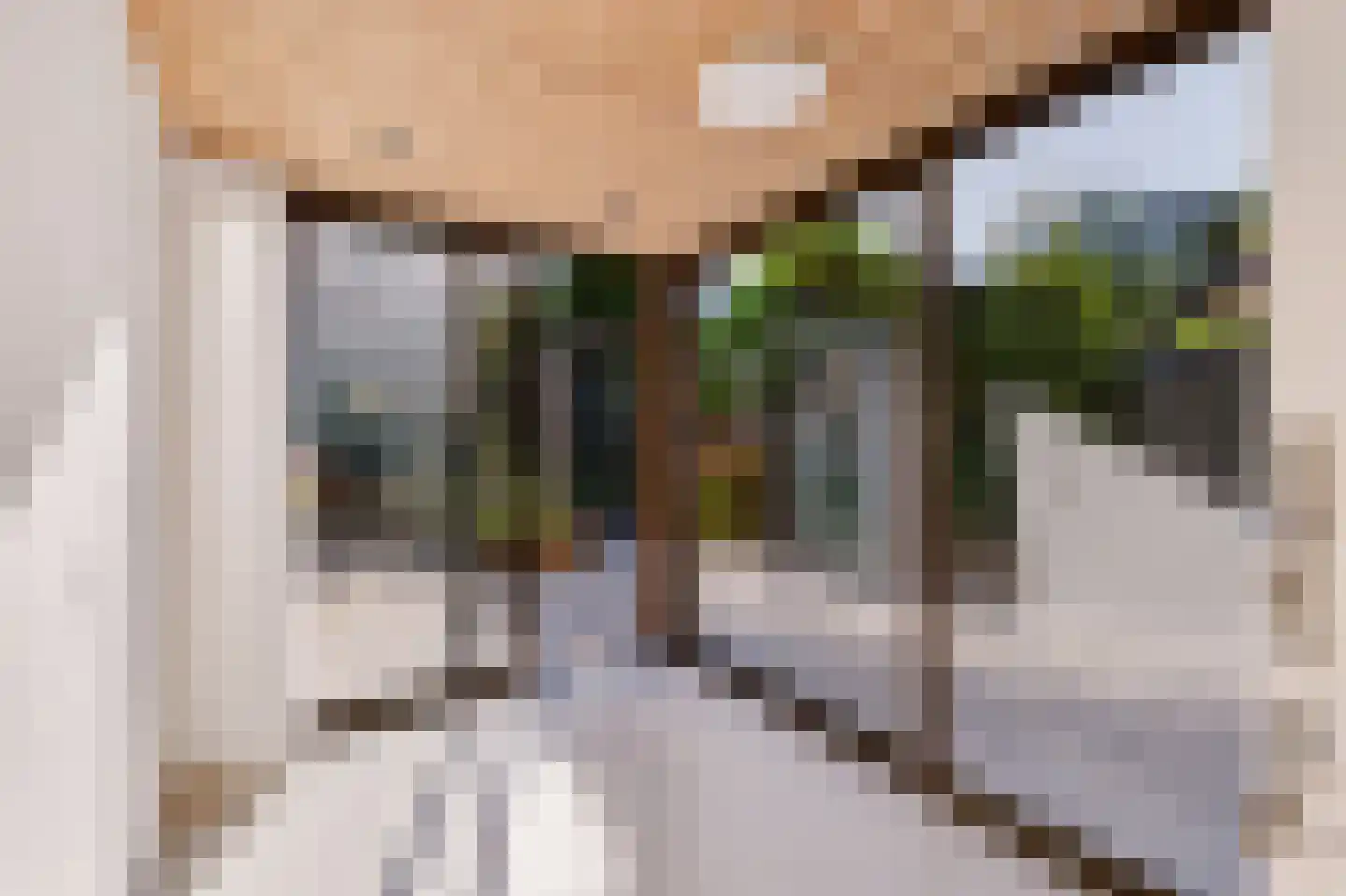 Dennenlaan 17 Maarn thumbnail 15