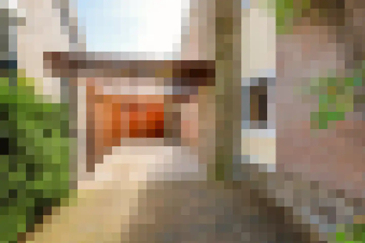 Dennenlaan 17 Maarn thumbnail 36