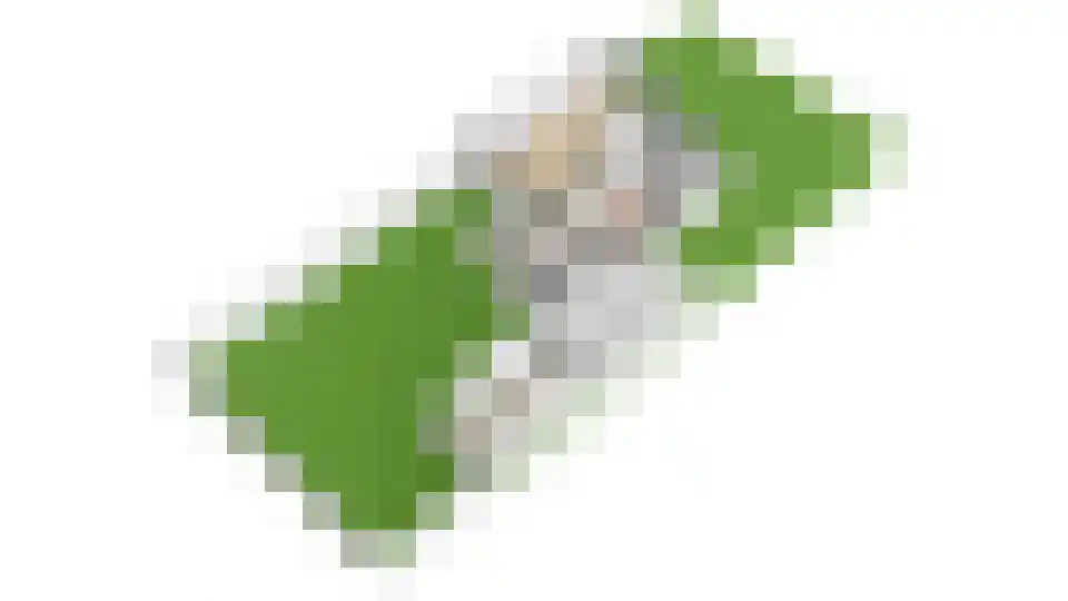 Dennenlaan 17 Maarn thumbnail 42
