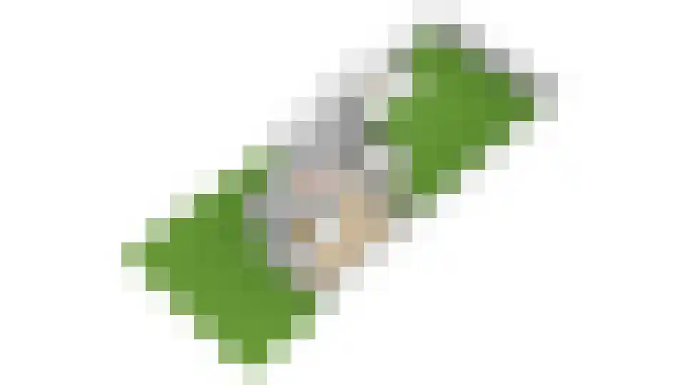 Dennenlaan 17 Maarn thumbnail 43