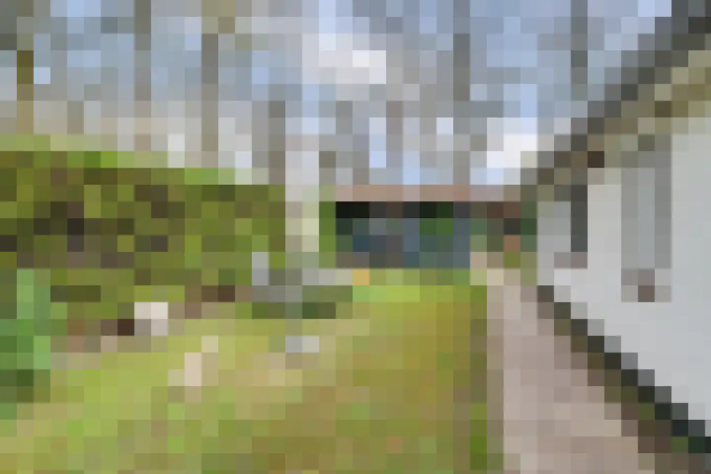 Dennenlaan 17 Putte thumbnail 24