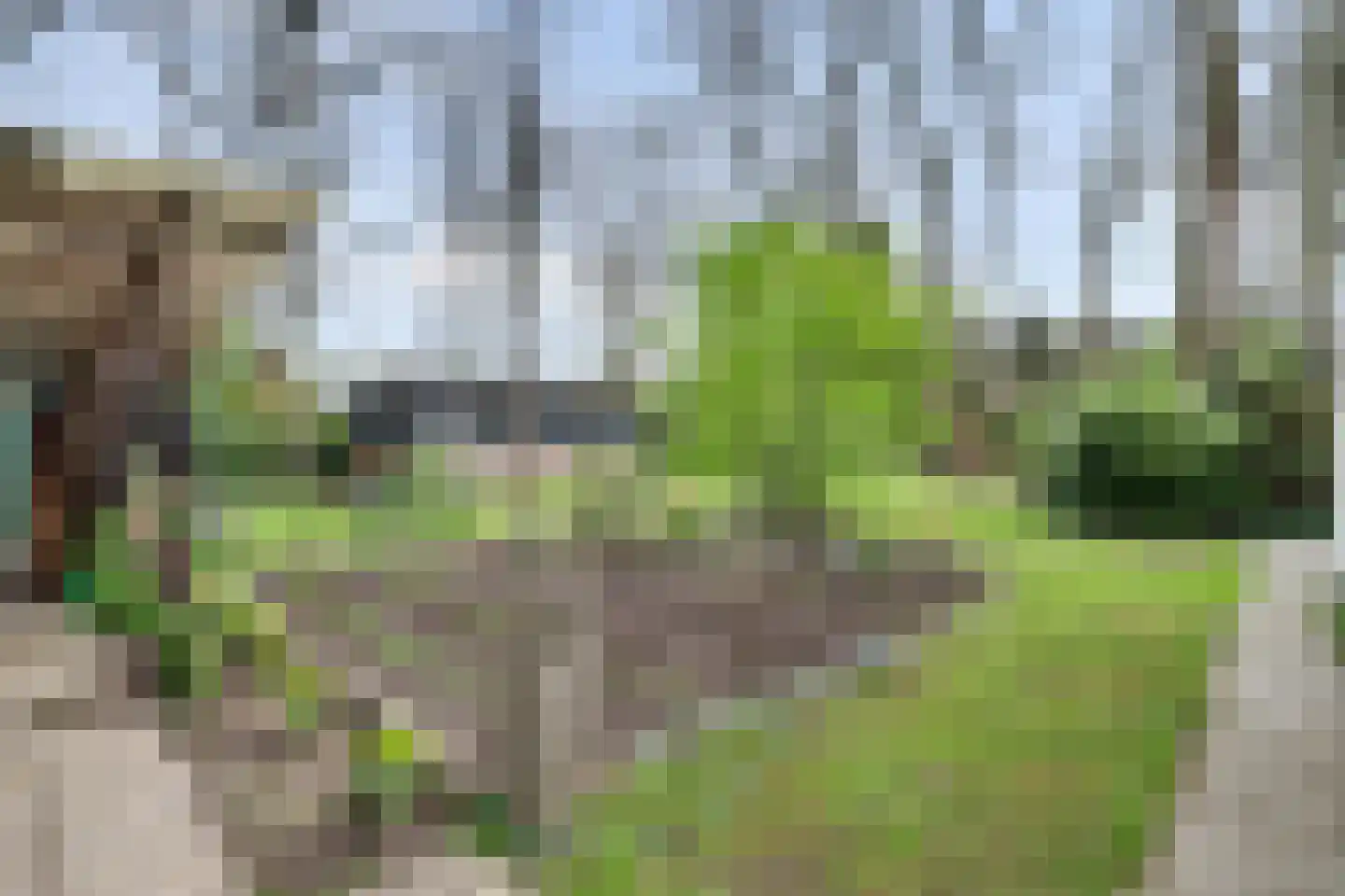 Dennenlaan 17 Putte thumbnail 25