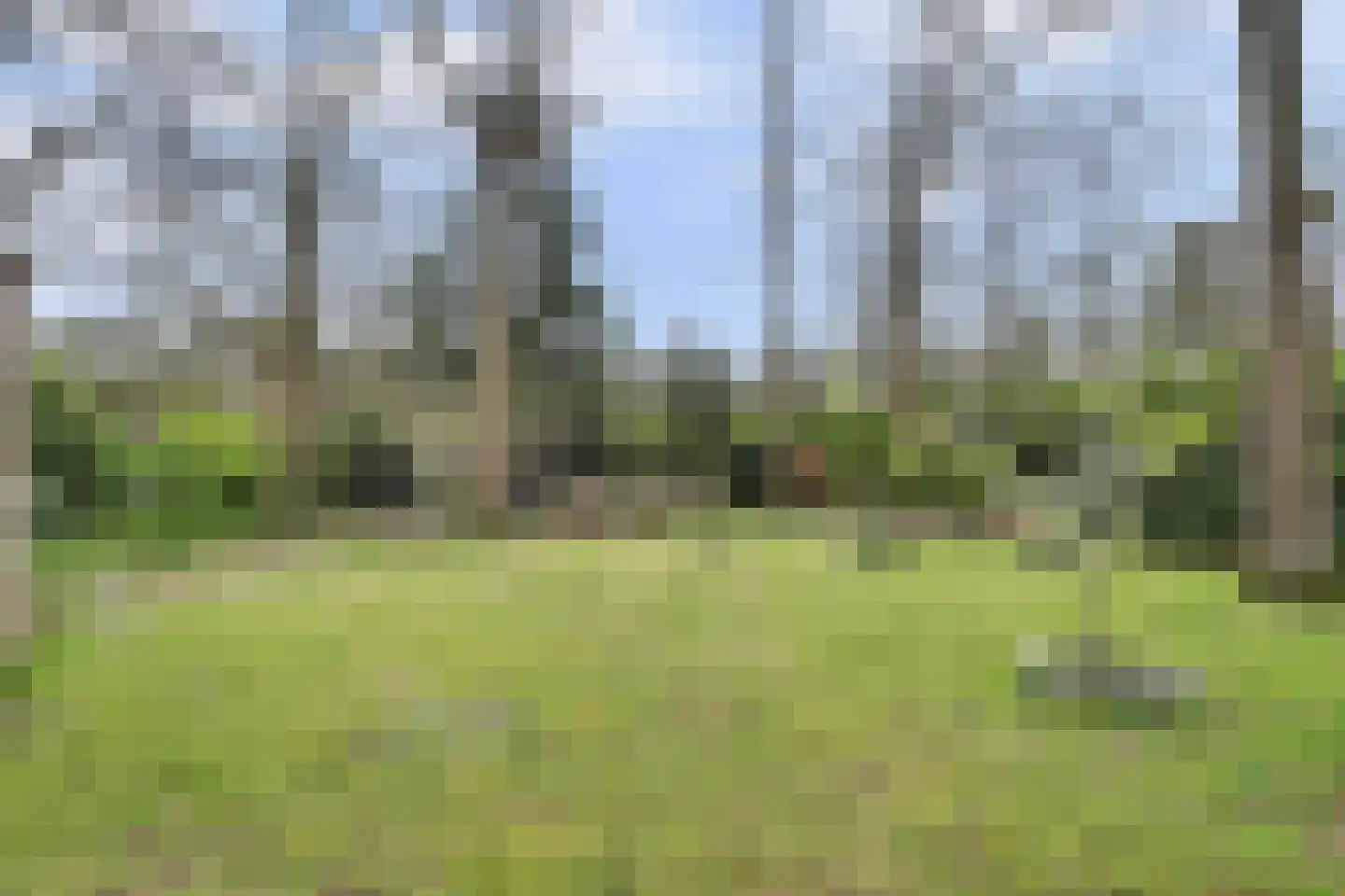 Dennenlaan 17 Putte thumbnail 27
